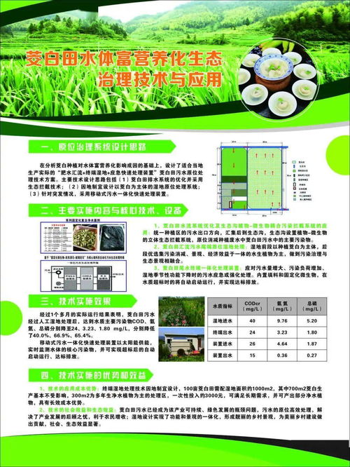 麗水山區(qū)茭白綠色可持續(xù)發(fā)展技術(shù)示范現(xiàn)場會(huì)在新建鎮(zhèn)召開